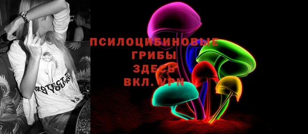дживик Вязьма