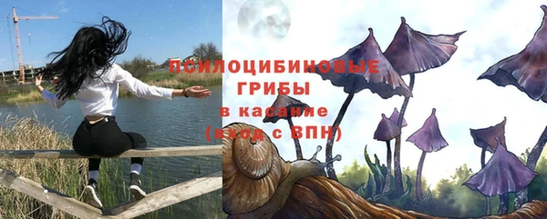 jwh Вяземский