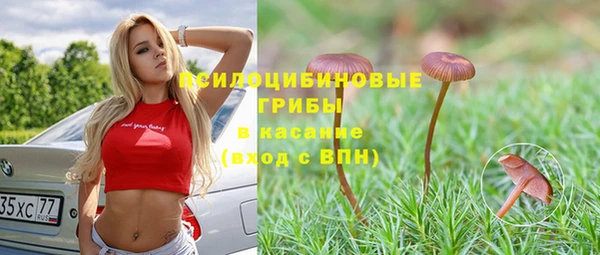 дживик Вязьма