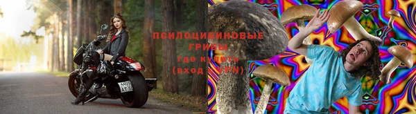 ECSTASY Вязники