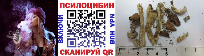 Галлюциногенные грибы Psilocybe  Купить где  Переславль-Залесский 